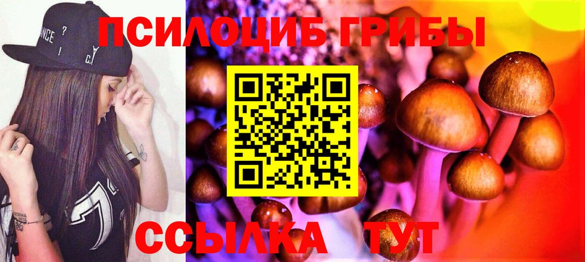 Псилоцибиновые грибы MAGIC MUSHROOMS Гай